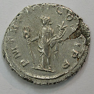 Articulo Numismatica Reverso