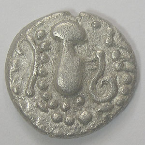 Articulo Numismatica Anverso